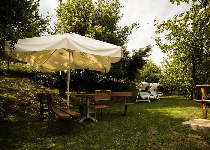 Mandrola * Rivergaro