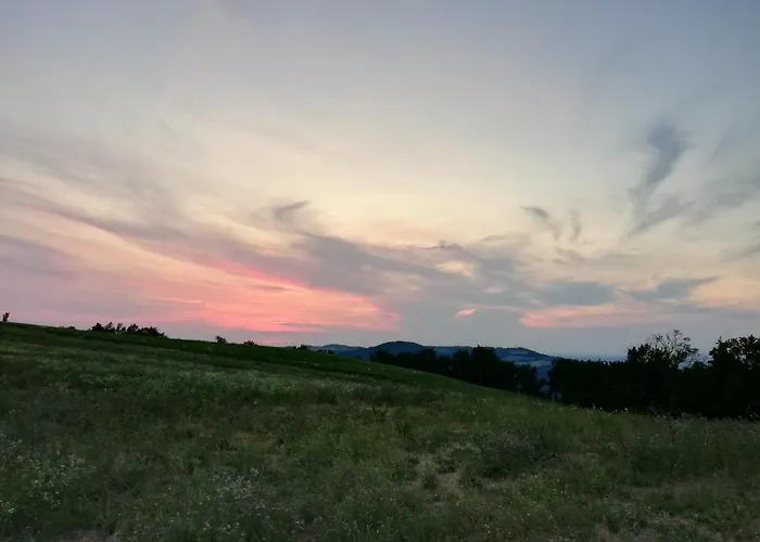 Mandrola * 리버가로